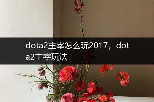 dota2主宰怎么玩2017，dota2主宰玩法