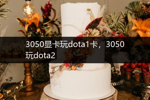 3050显卡玩dota1卡，3050玩dota2