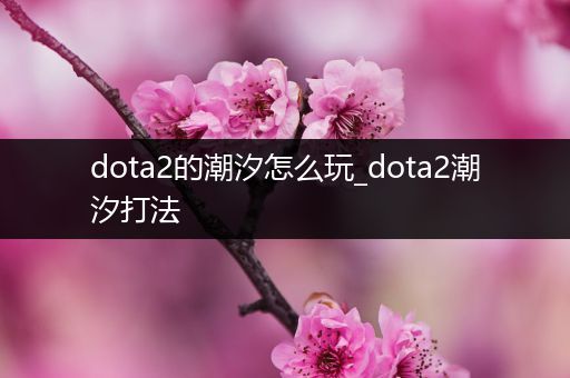 dota2的潮汐怎么玩_dota2潮汐打法