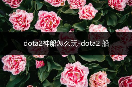 dota2神船怎么玩-dota2 船