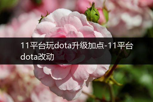 11平台玩dota升级加点-11平台dota改动