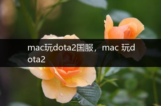 mac玩dota2国服，mac 玩dota2