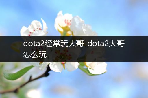 dota2经常玩大哥_dota2大哥怎么玩