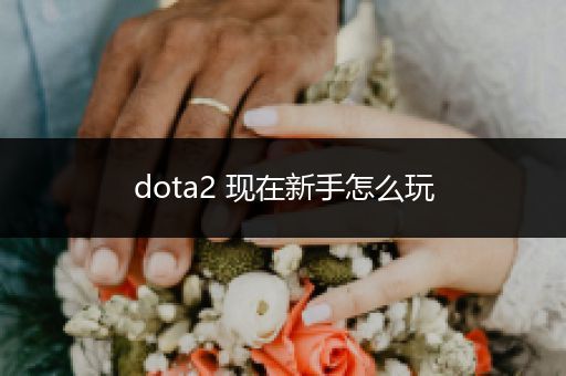 dota2 现在新手怎么玩