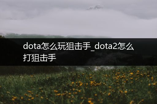 dota怎么玩狙击手_dota2怎么打狙击手