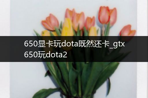 650显卡玩dota既然还卡_gtx650玩dota2