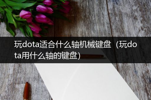 玩dota适合什么轴机械键盘（玩dota用什么轴的键盘）