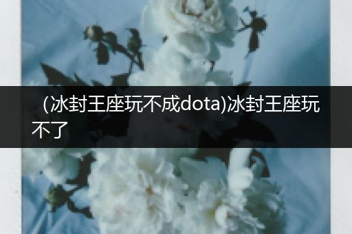 （冰封王座玩不成dota)冰封王座玩不了