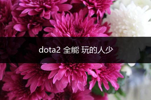 dota2 全能 玩的人少
