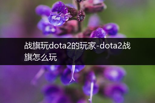 战旗玩dota2的玩家-dota2战旗怎么玩