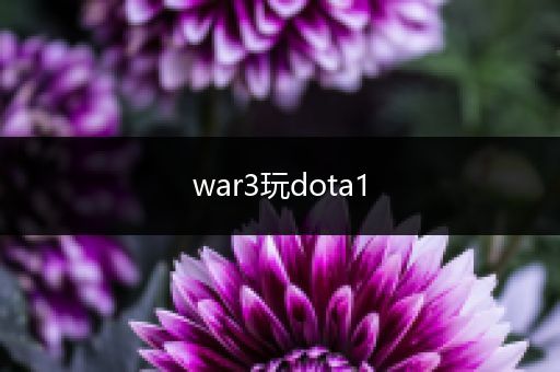 war3玩dota1