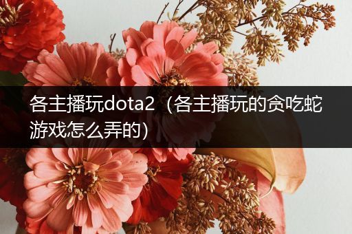 各主播玩dota2（各主播玩的贪吃蛇游戏怎么弄的）