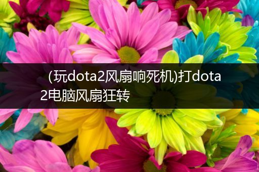 （玩dota2风扇响死机)打dota2电脑风扇狂转