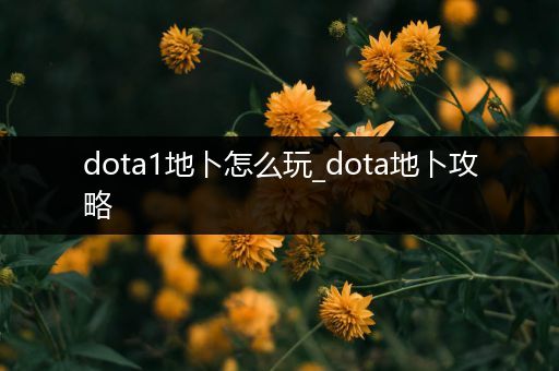 dota1地卜怎么玩_dota地卜攻略