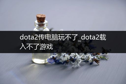 dota2传电脑玩不了_dota2载入不了游戏