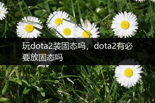 玩dota2装固态吗，dota2有必要放固态吗
