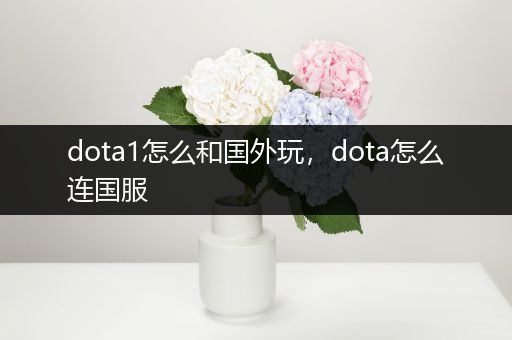 dota1怎么和国外玩，dota怎么连国服