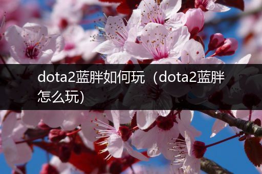 dota2蓝胖如何玩（dota2蓝胖怎么玩）