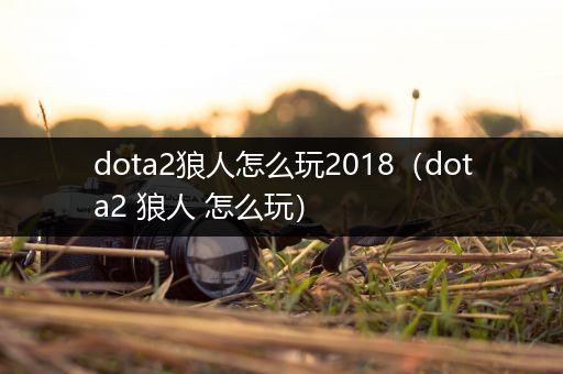 dota2狼人怎么玩2018（dota2 狼人 怎么玩）