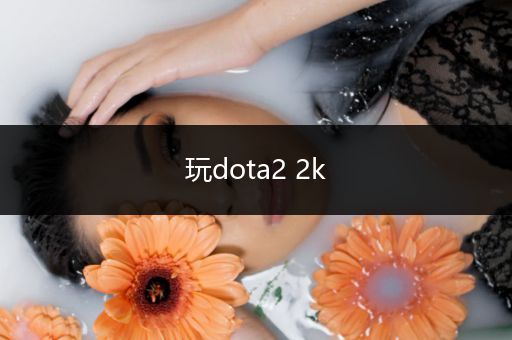 玩dota2 2k