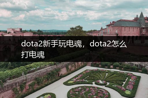 dota2新手玩电魂，dota2怎么打电魂