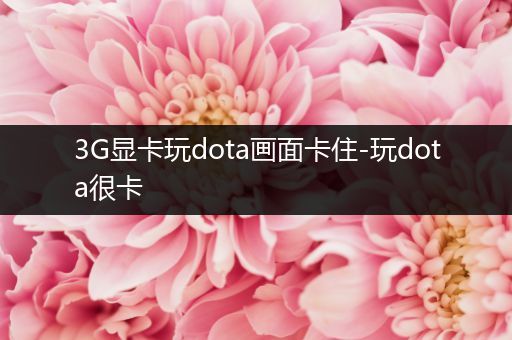 3G显卡玩dota画面卡住-玩dota很卡