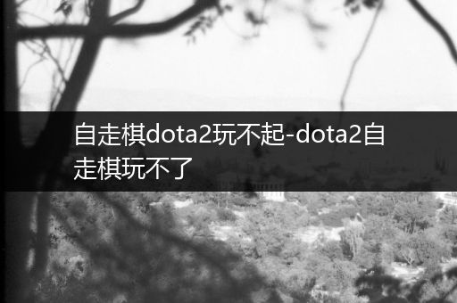 自走棋dota2玩不起-dota2自走棋玩不了