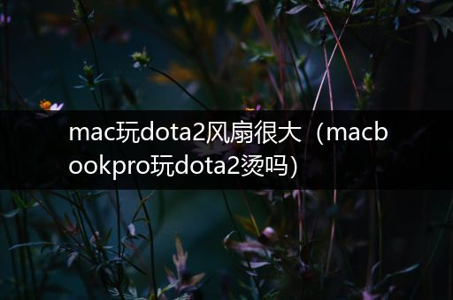 mac玩dota2风扇很大（macbookpro玩dota2烫吗）