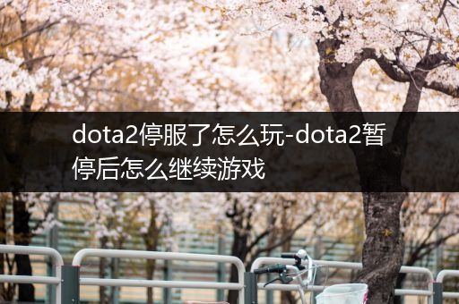 dota2停服了怎么玩-dota2暂停后怎么继续游戏