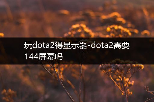 玩dota2得显示器-dota2需要144屏幕吗