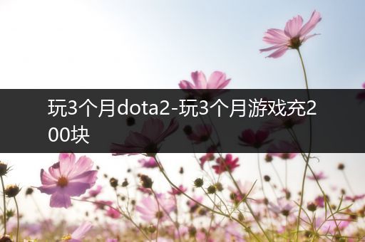 玩3个月dota2-玩3个月游戏充200块