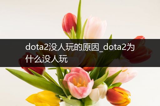 dota2没人玩的原因_dota2为什么没人玩