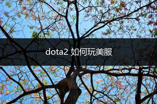 dota2 如何玩美服