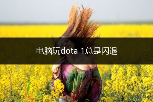 电脑玩dota 1总是闪退