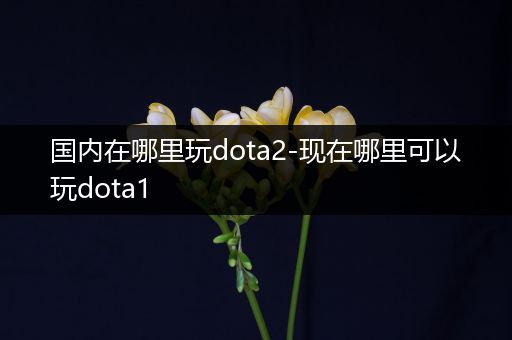 国内在哪里玩dota2-现在哪里可以玩dota1