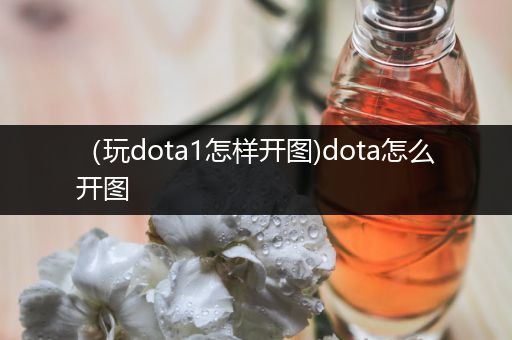 （玩dota1怎样开图)dota怎么开图