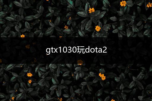 gtx1030玩dota2