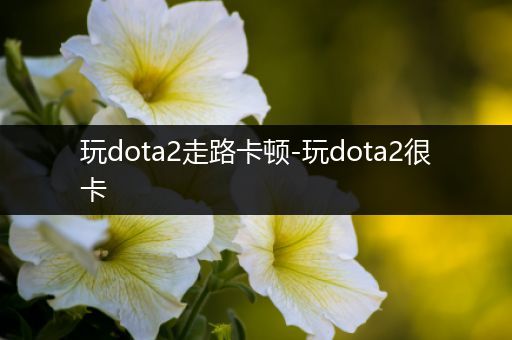 玩dota2走路卡顿-玩dota2很卡