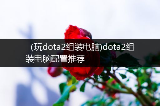 （玩dota2组装电脑)dota2组装电脑配置推荐