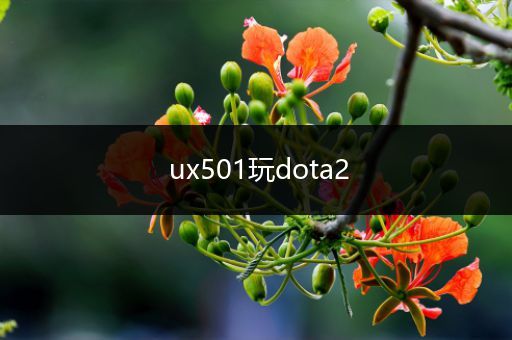 ux501玩dota2