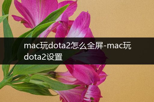 mac玩dota2怎么全屏-mac玩dota2设置
