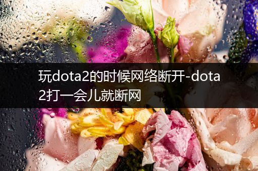 玩dota2的时候网络断开-dota2打一会儿就断网