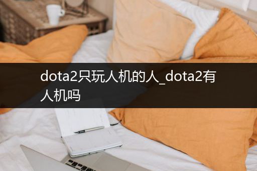 dota2只玩人机的人_dota2有人机吗