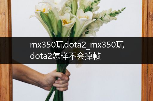 mx350玩dota2_mx350玩dota2怎样不会掉帧