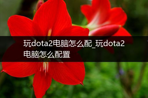 玩dota2电脑怎么配_玩dota2电脑怎么配置