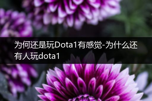 为何还是玩Dota1有感觉-为什么还有人玩dota1