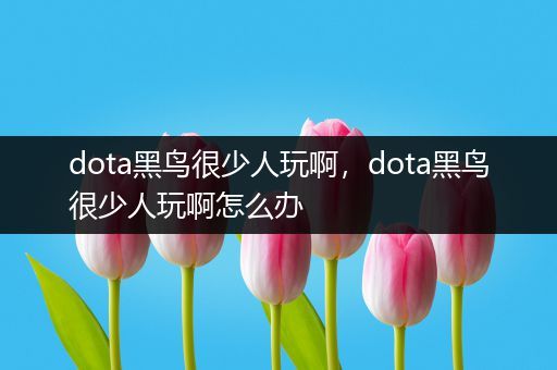 dota黑鸟很少人玩啊，dota黑鸟很少人玩啊怎么办