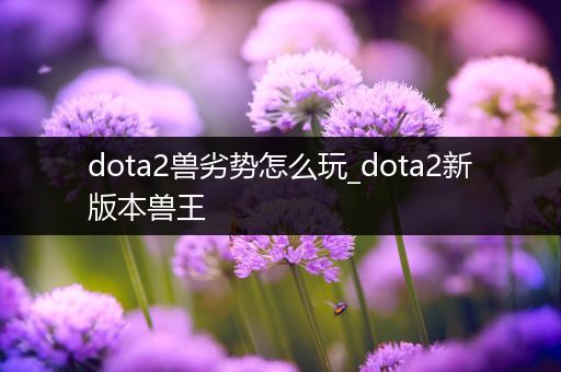 dota2兽劣势怎么玩_dota2新版本兽王