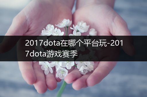 2017dota在哪个平台玩-2017dota游戏赛季