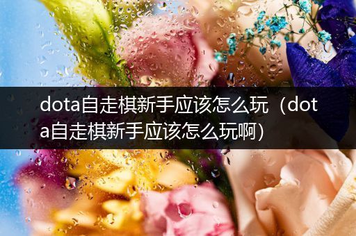 dota自走棋新手应该怎么玩（dota自走棋新手应该怎么玩啊）
